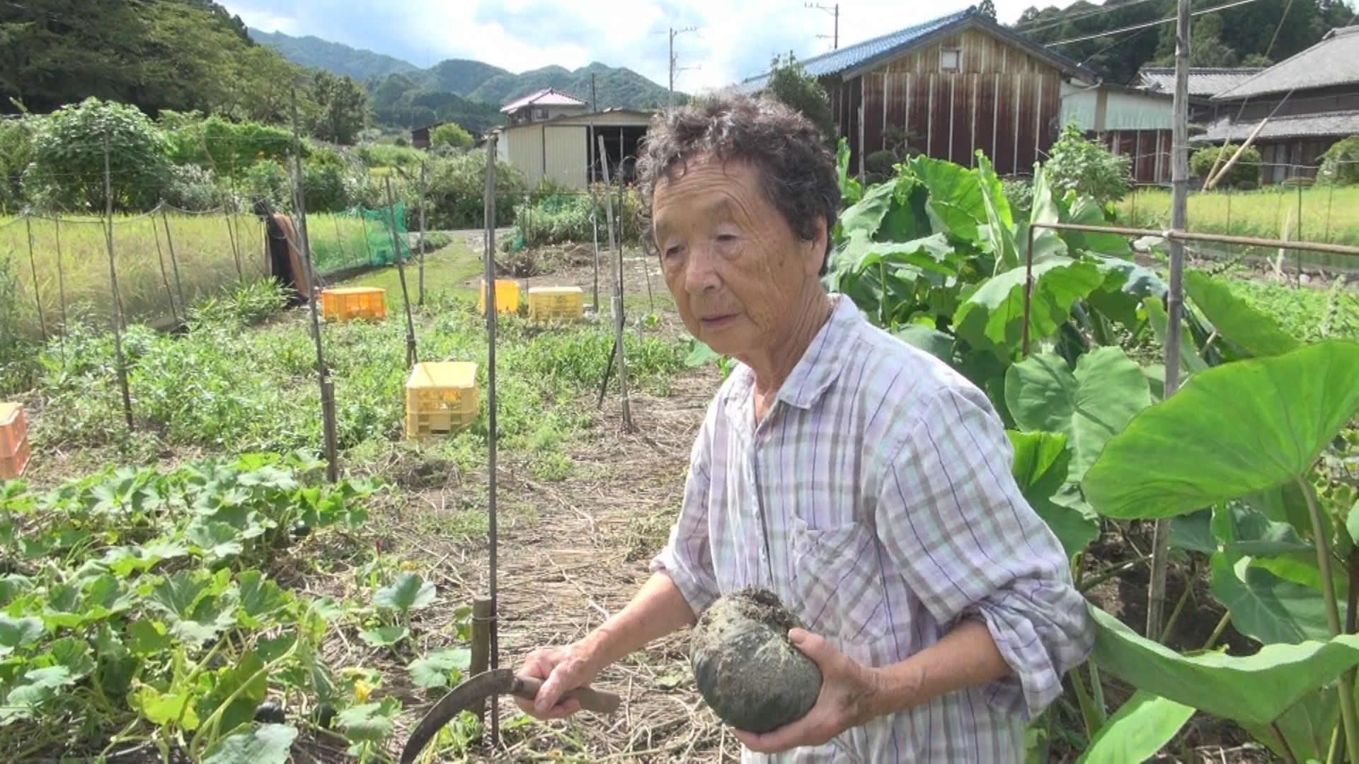 多気町片野の様子