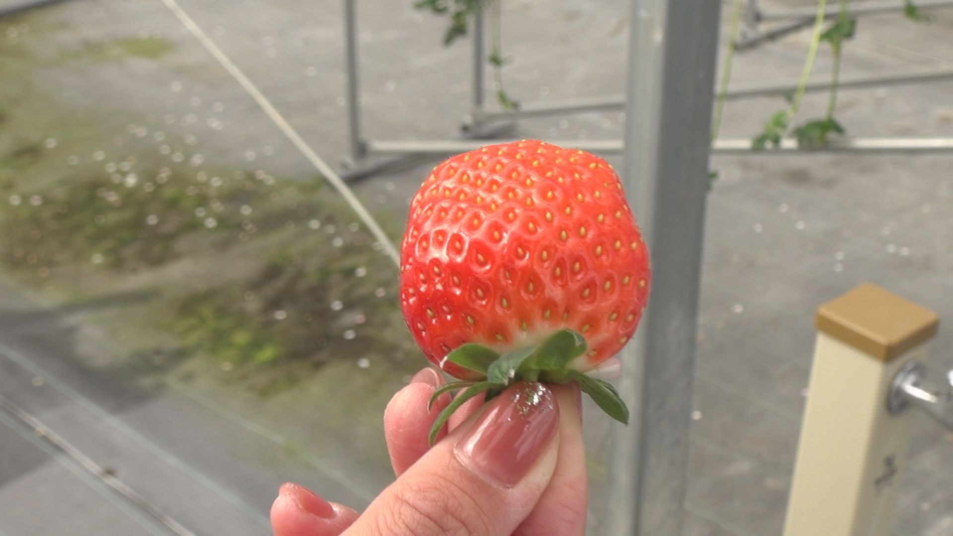 多気町丹生　丹生大師周辺の様子