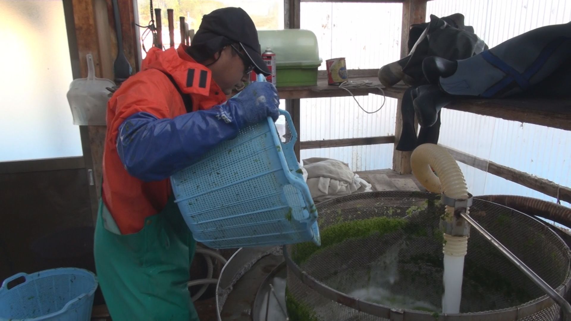 浜島町 迫子・塩屋周辺の様子