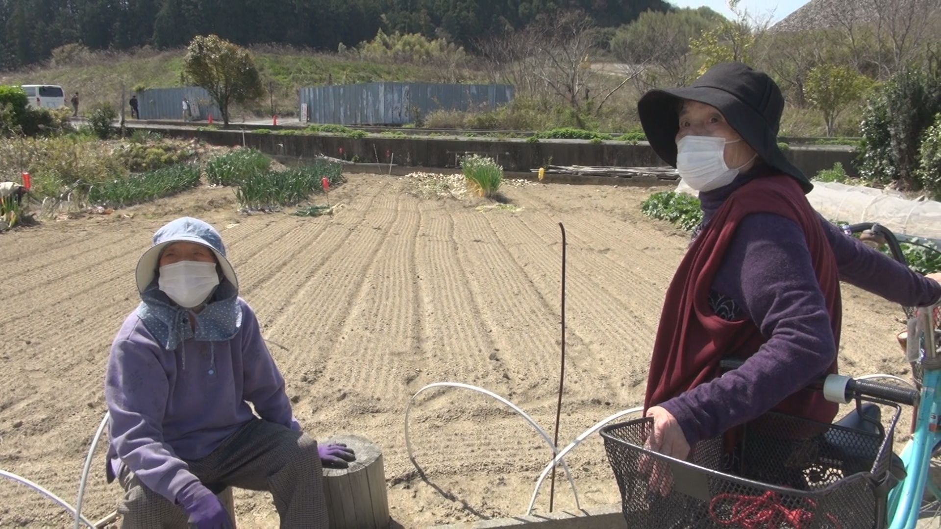 松阪市立野町の様子