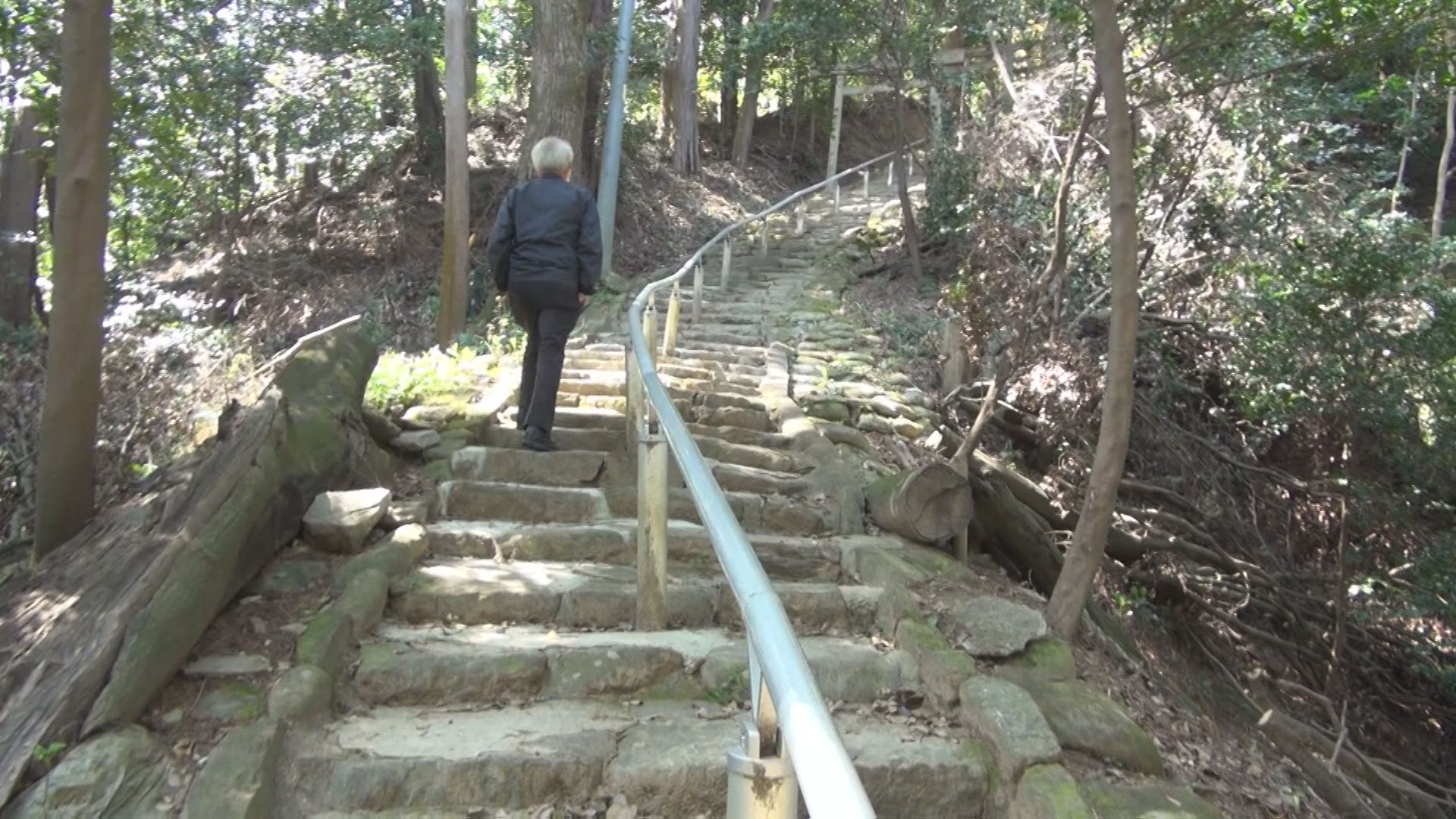 松阪市立野町の様子