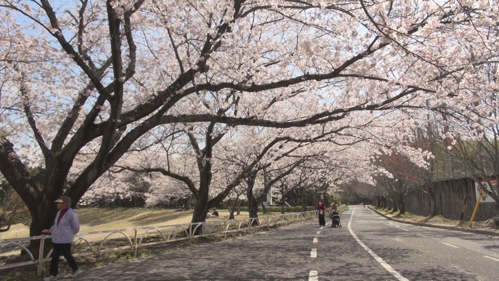 松阪市立野町の様子