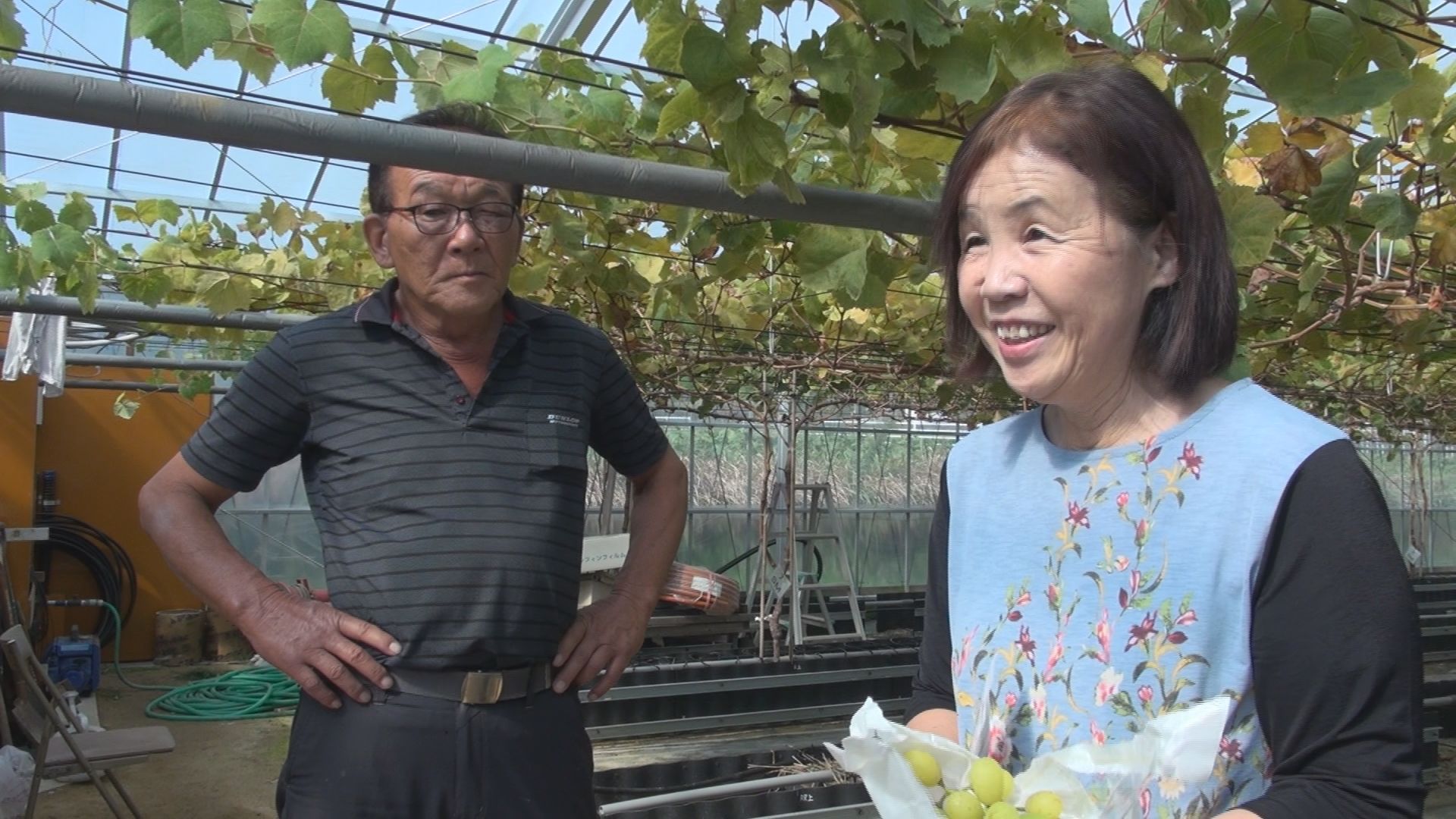 多気町朝柄の様子