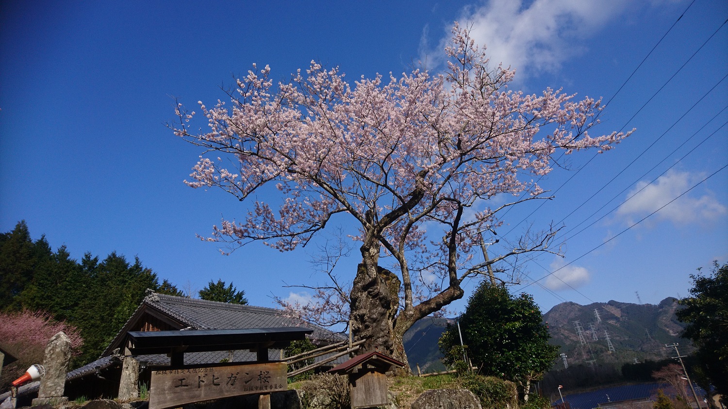 このまちえぇやん