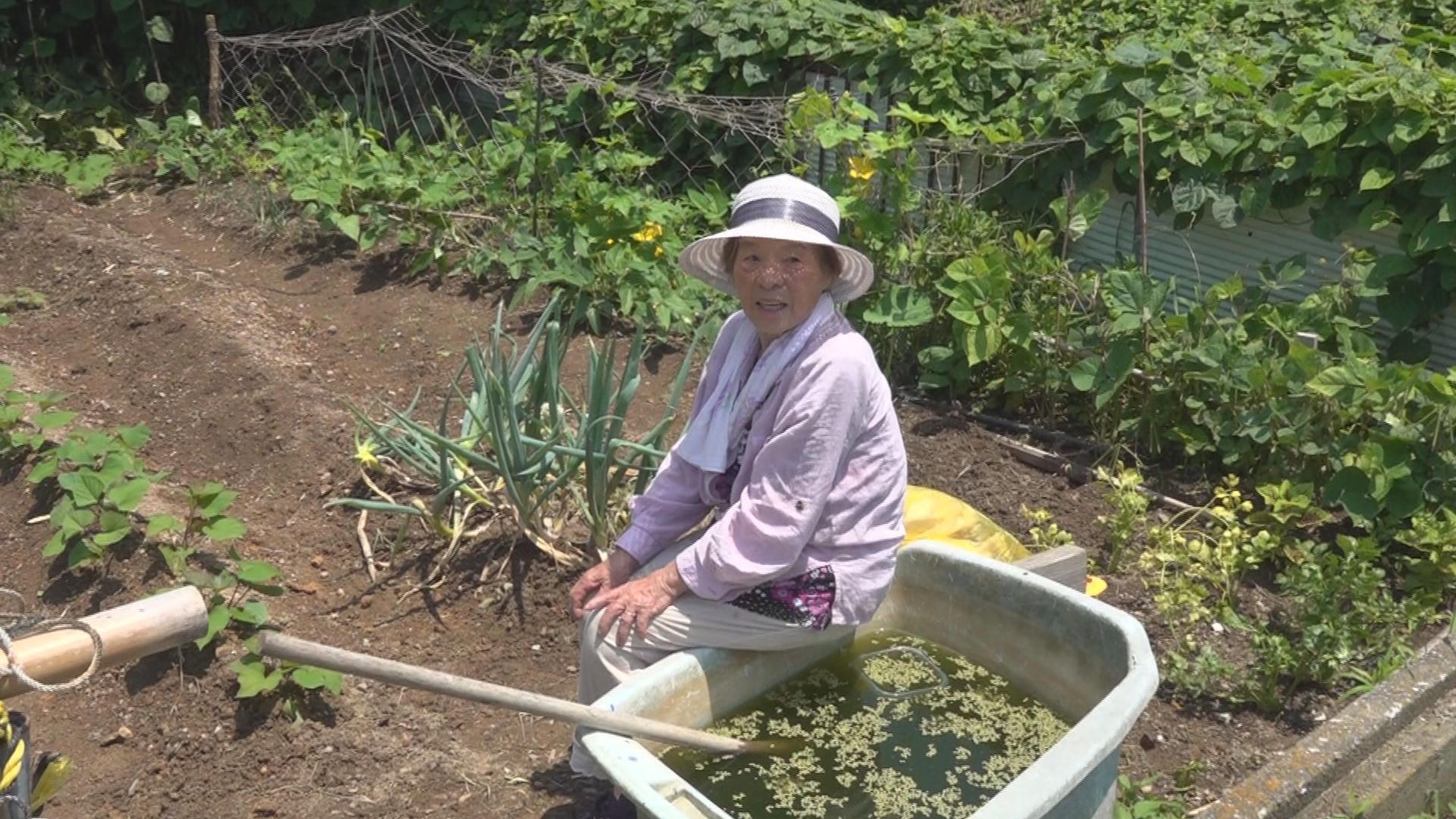 浜島町浜島周辺の様子