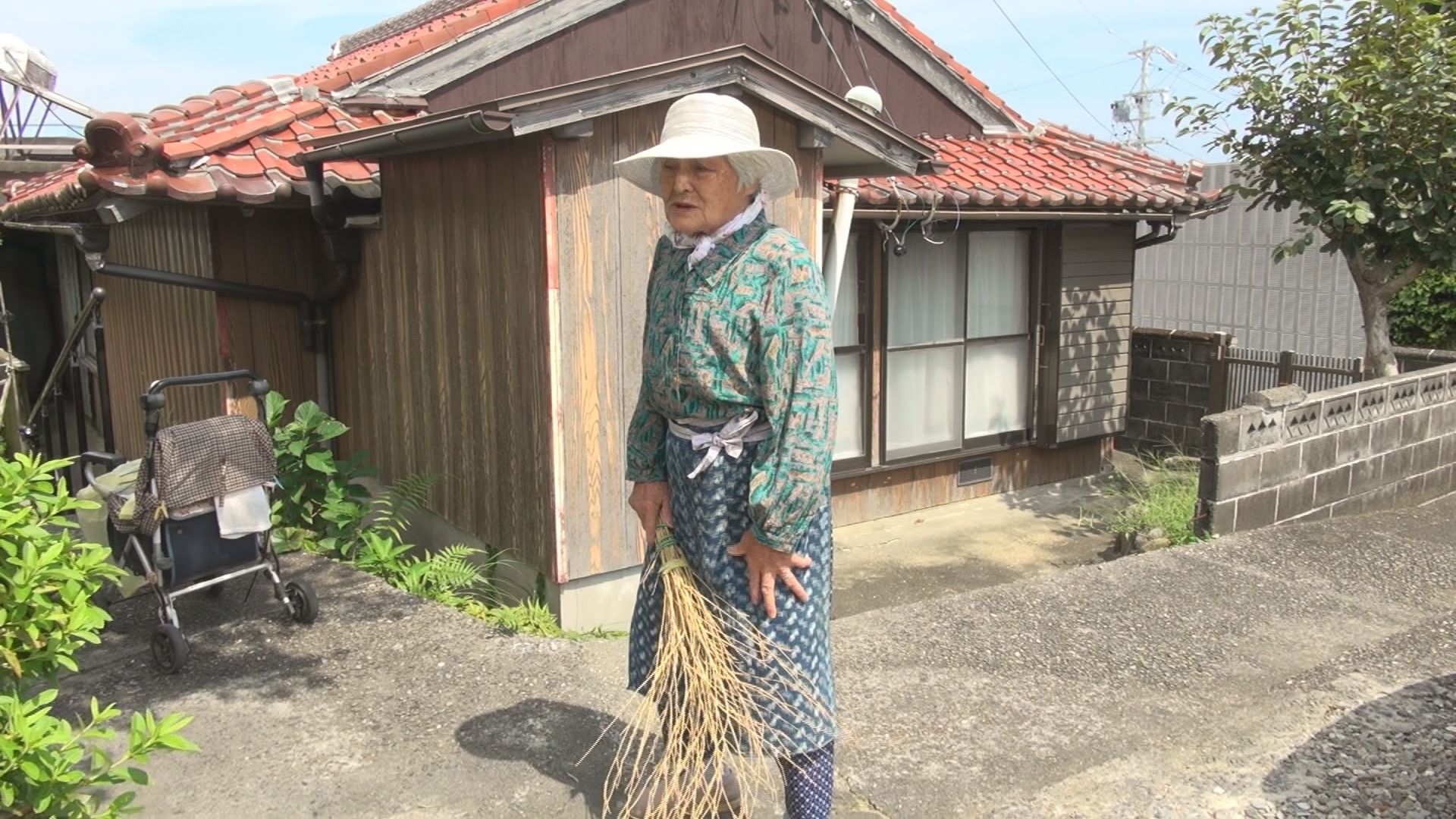 阿児町志島の様子