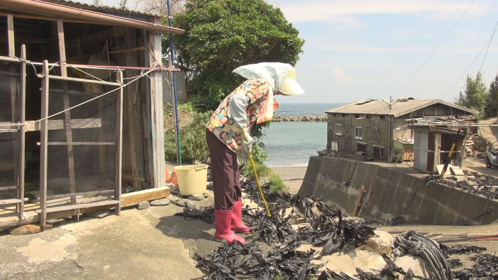 阿児町志島の様子