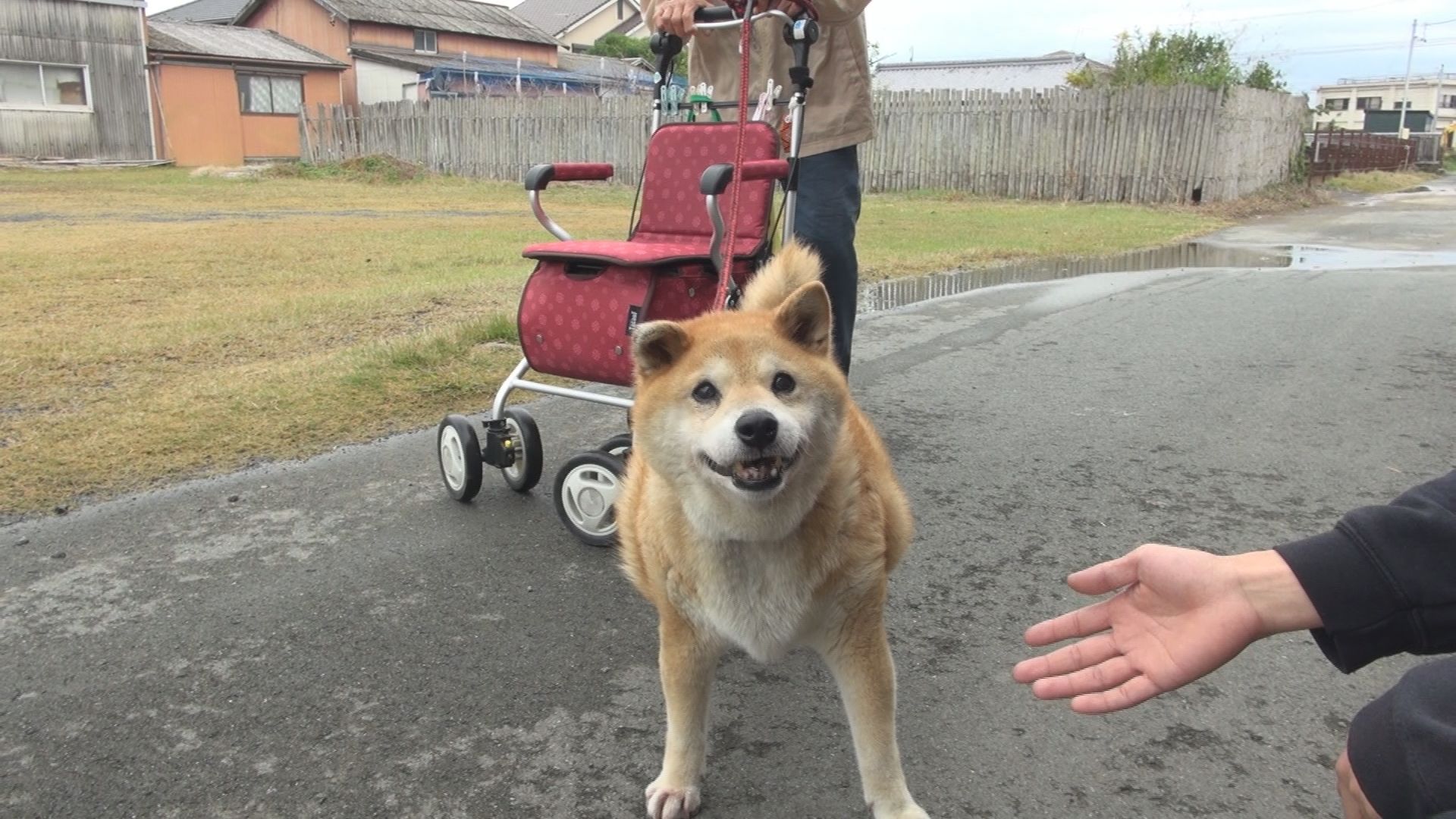 阿児町国府の様子