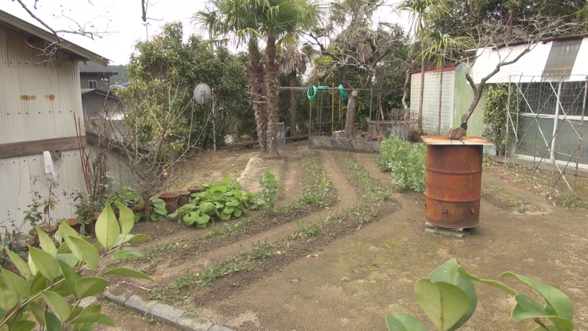 浜島町塩屋の様子