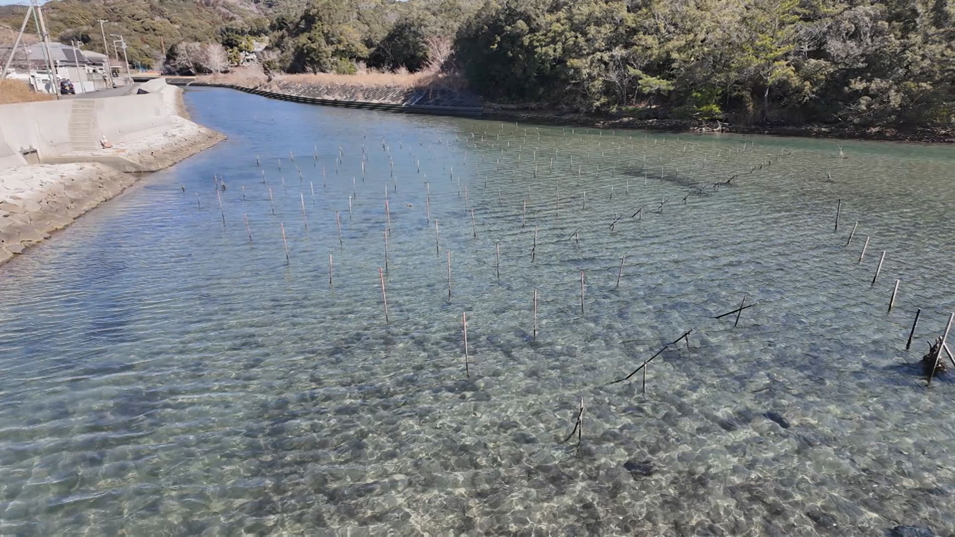浜島町桧山路の様子