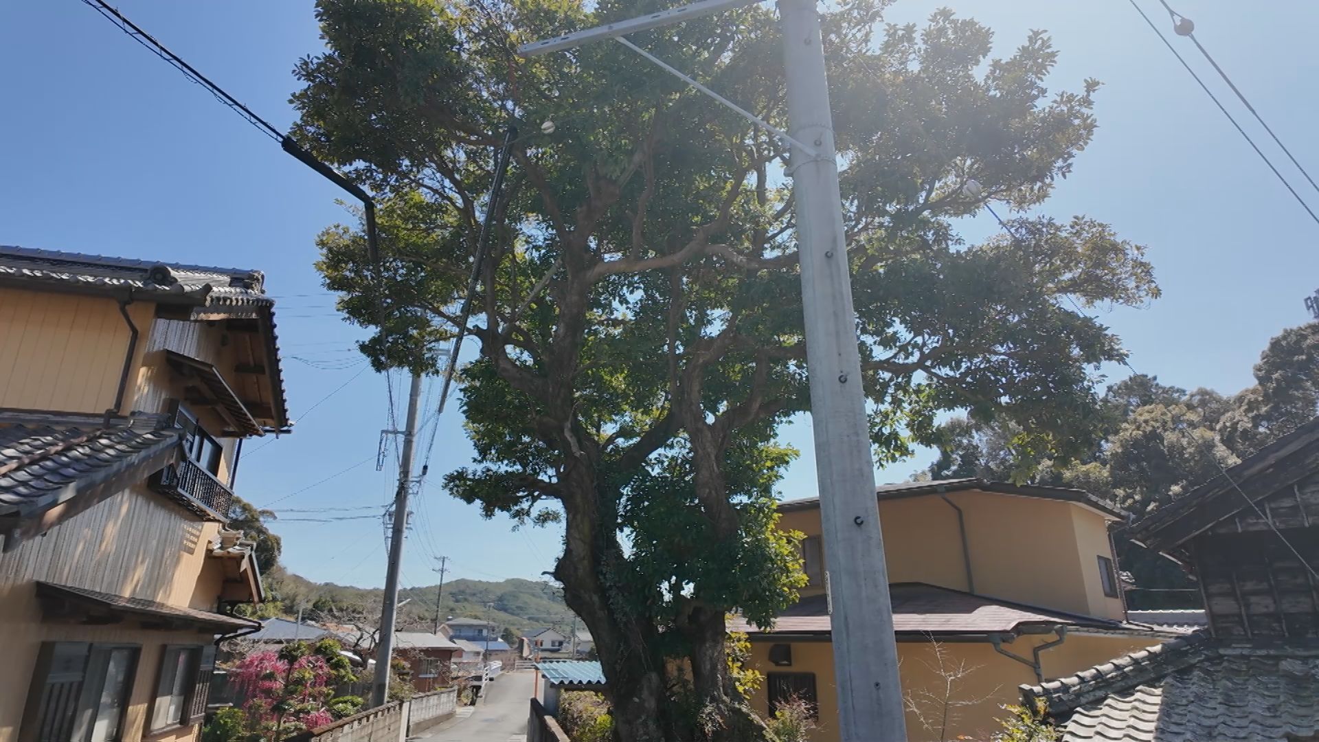 浜島町桧山路の様子
