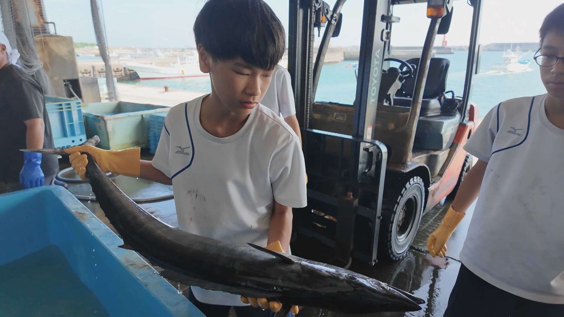 志摩町和具の様子