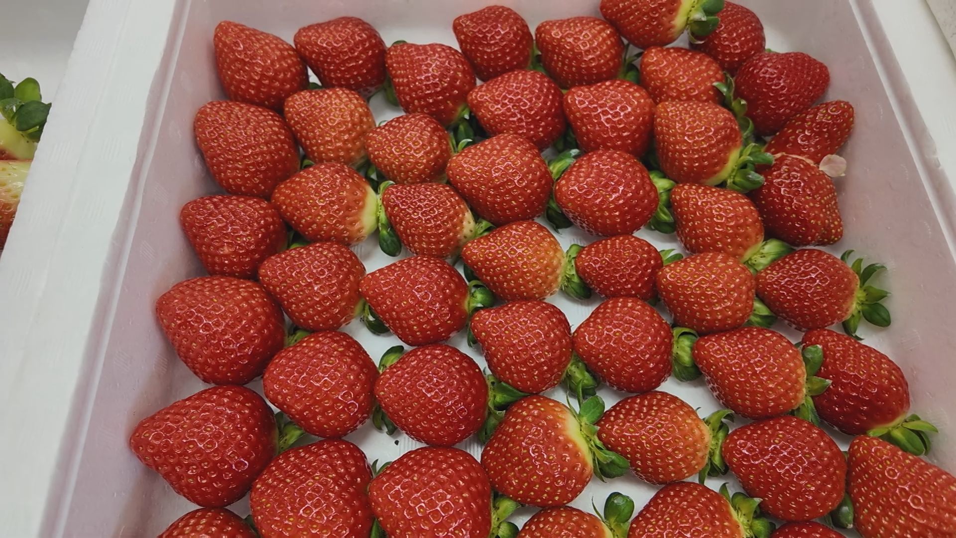 阿児町神明の様子