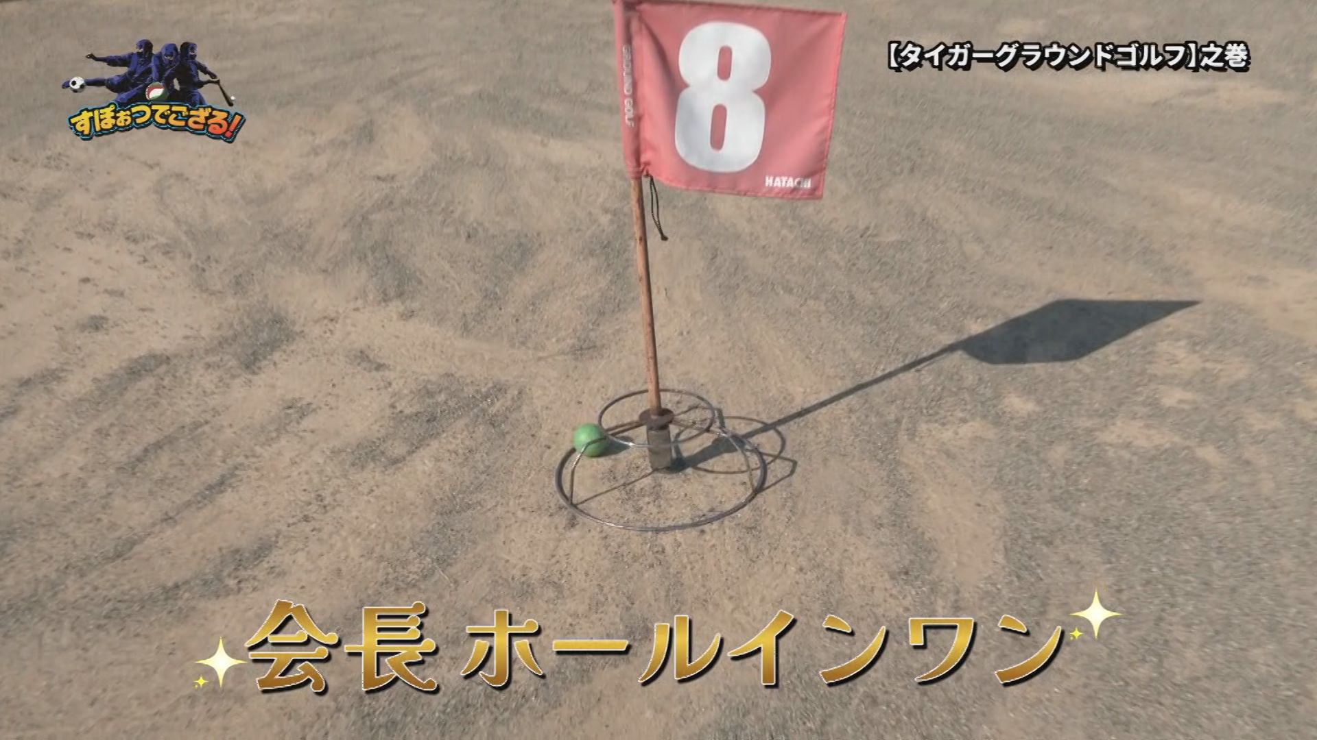 タイガーグラウンドゴルフの様子