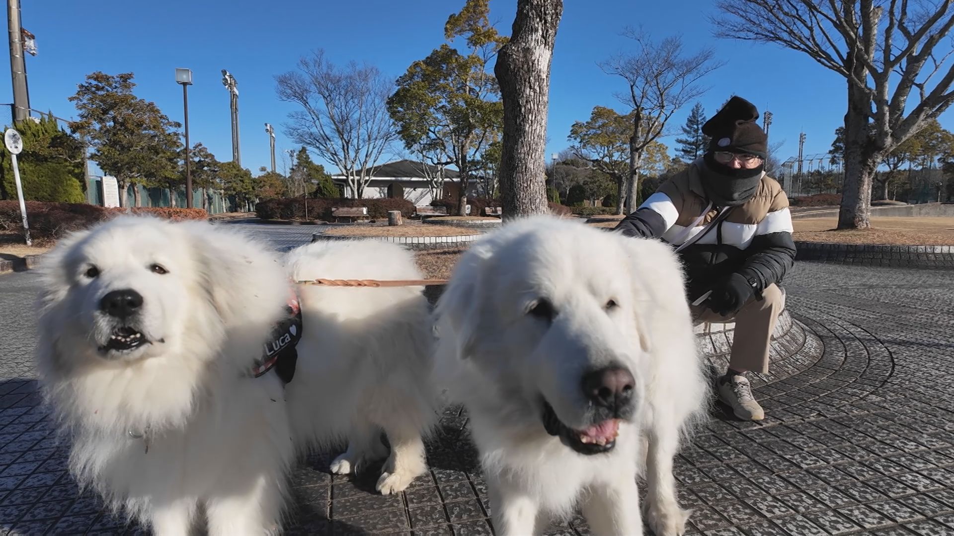 明和町 新茶屋の様子