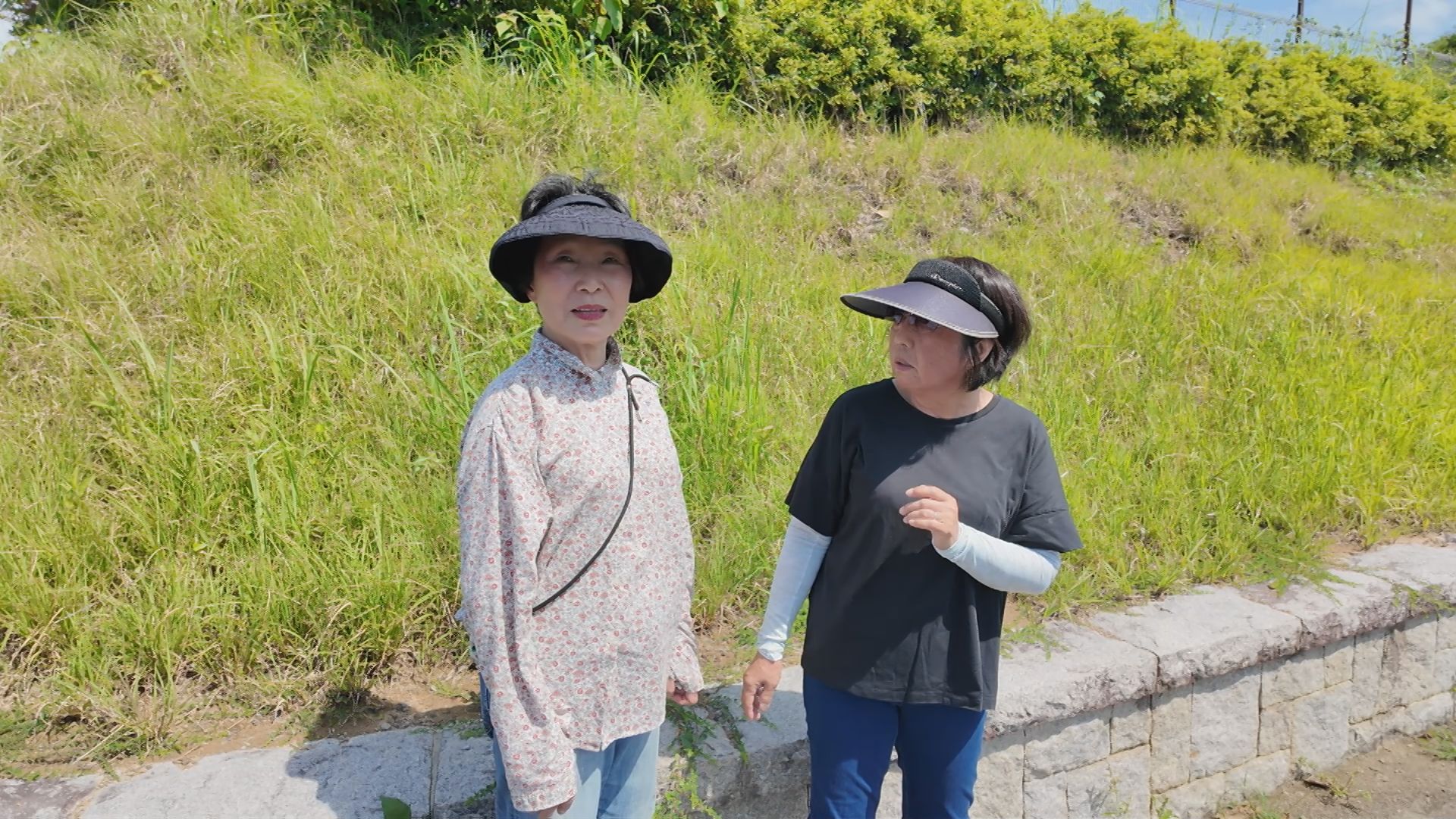 志摩町布施田の様子