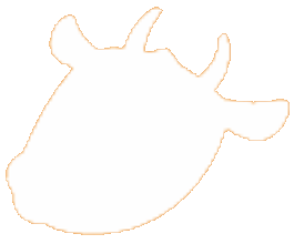 通常画像